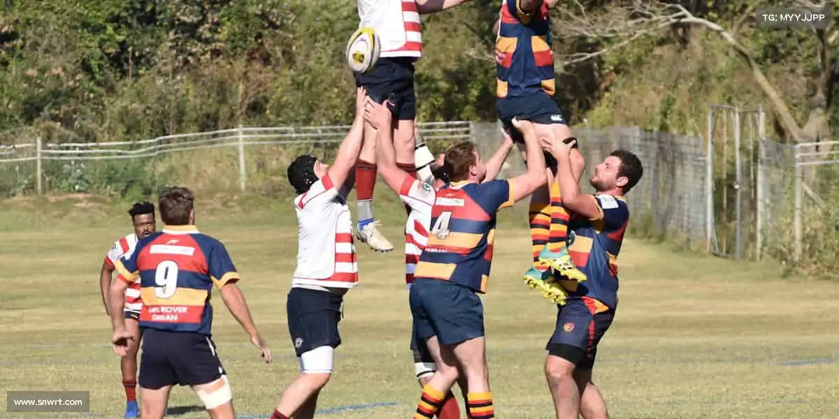 为什么选择我们